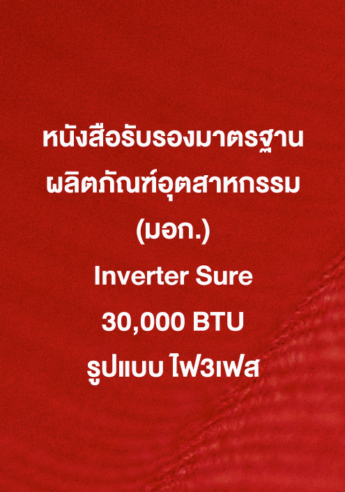 Inverter Sure 30,000 ฺBTU - 3 Phase